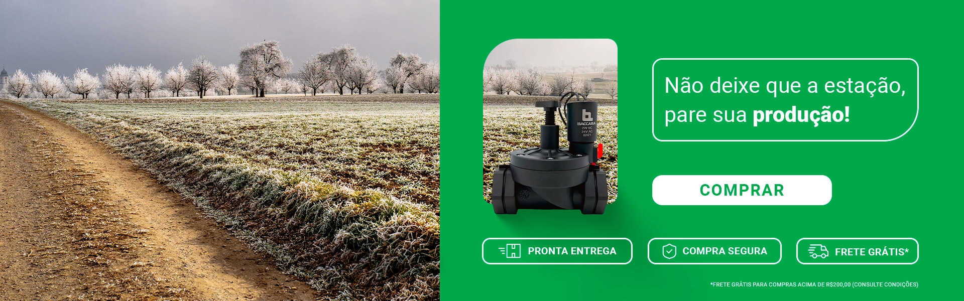 Sazonal Outono Inverno