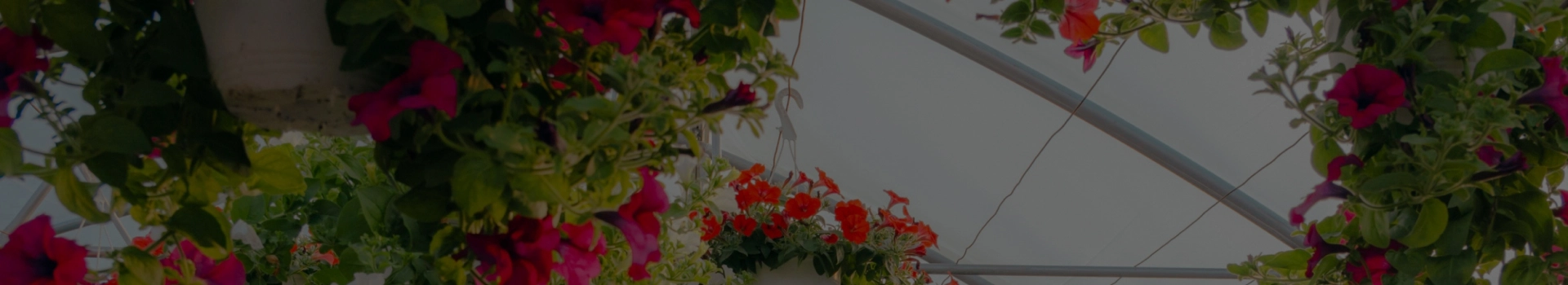 Conheça a linha de produtos para Casa e Jardim da Agriestufa