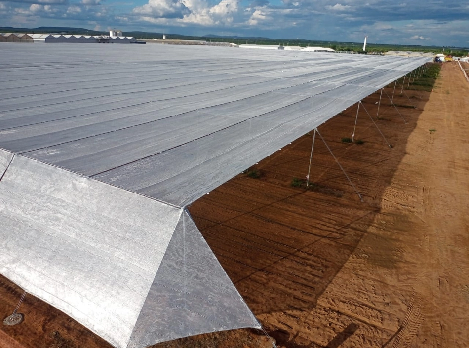 Estufa grande e aberta ao ar livre, somente com teto de proteção contra sol