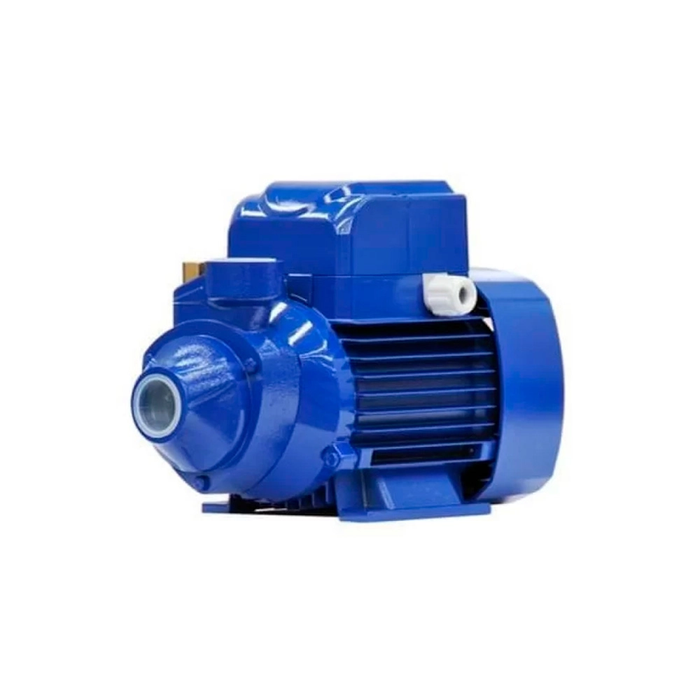 MOTO BOMBA P1000 TRIF - KSB 